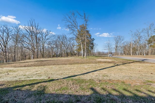 8217 Jolene Dr, College Grove, TN 37046