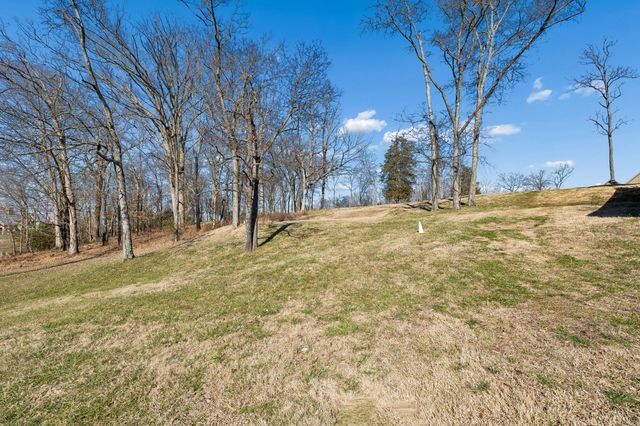 8217 Jolene Dr, College Grove, TN 37046