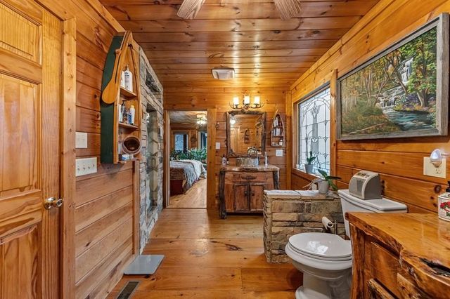 120 N Riverview Lane, Ellijay, GA 30536