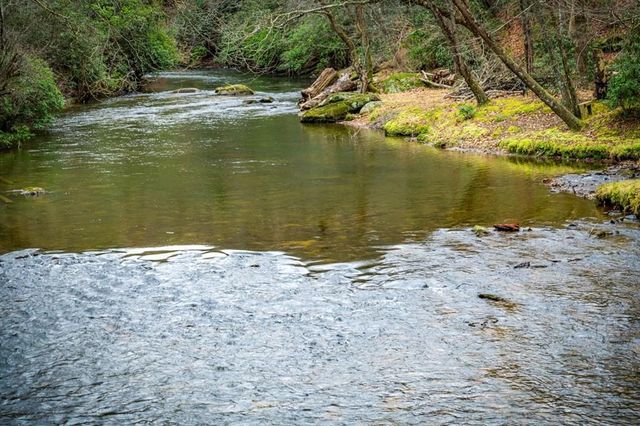 120 N Riverview Lane, Ellijay, GA 30536