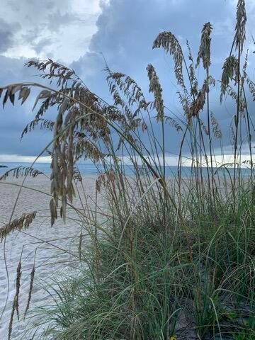 1151 Carlton Court 103, Fort Pierce, FL 34949