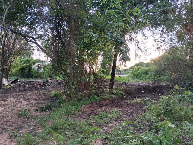 1247 County Road 4590, Boyd, TX 76023