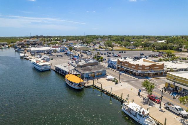 112 E MARTIN LUTHER KING JR DRIVE, Tarpon Springs, FL 34689