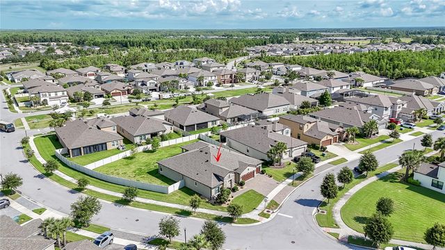 8687 BIRCHLEAF COURT COURT, Land O Lakes, FL 34637
