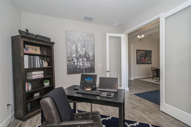 8687 BIRCHLEAF COURT COURT, Land O Lakes, FL 34637
