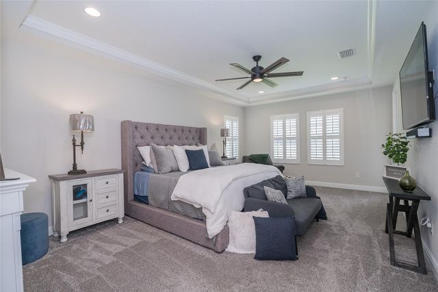 8687 BIRCHLEAF COURT COURT, Land O Lakes, FL 34637