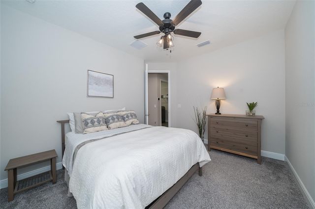 8687 BIRCHLEAF COURT COURT, Land O Lakes, FL 34637