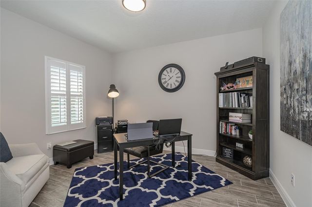 8687 BIRCHLEAF COURT COURT, Land O Lakes, FL 34637