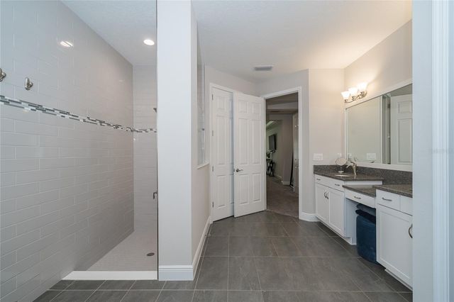 8687 BIRCHLEAF COURT COURT, Land O Lakes, FL 34637