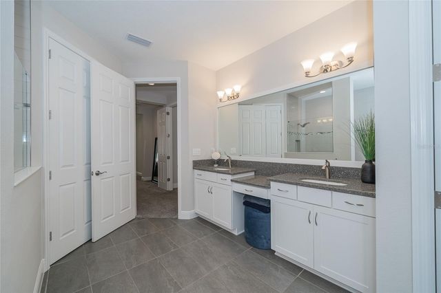 8687 BIRCHLEAF COURT COURT, Land O Lakes, FL 34637