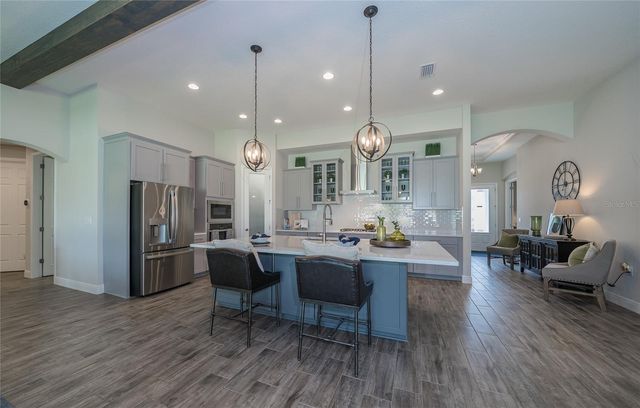 8687 BIRCHLEAF COURT COURT, Land O Lakes, FL 34637