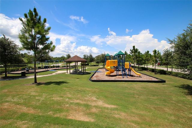 8687 BIRCHLEAF COURT COURT, Land O Lakes, FL 34637