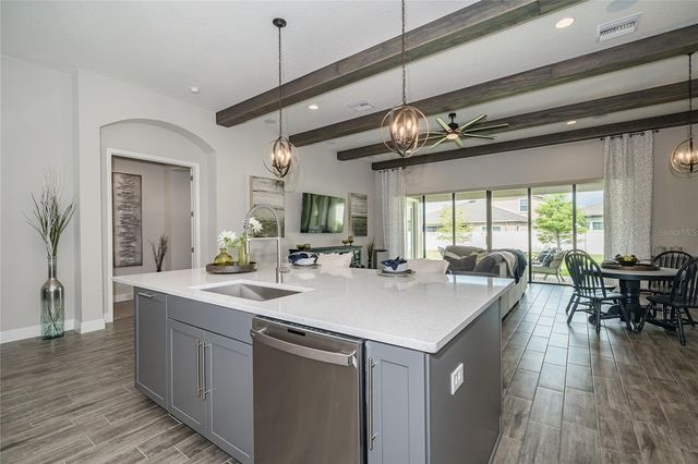 8687 BIRCHLEAF COURT COURT, Land O Lakes, FL 34637