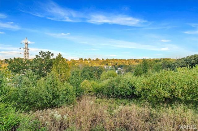 164 Bogey Boulevard, Arnold, MO 63010