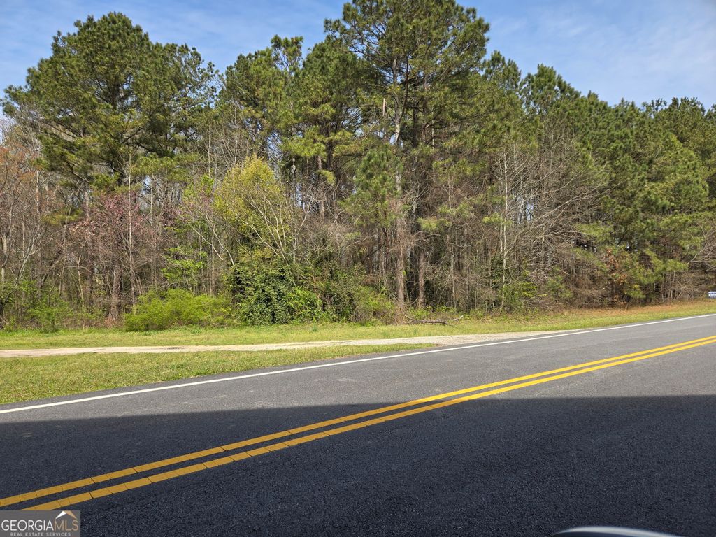 0 Bear Creek Boulevard 00, Hampton, GA 30228 — photo 4