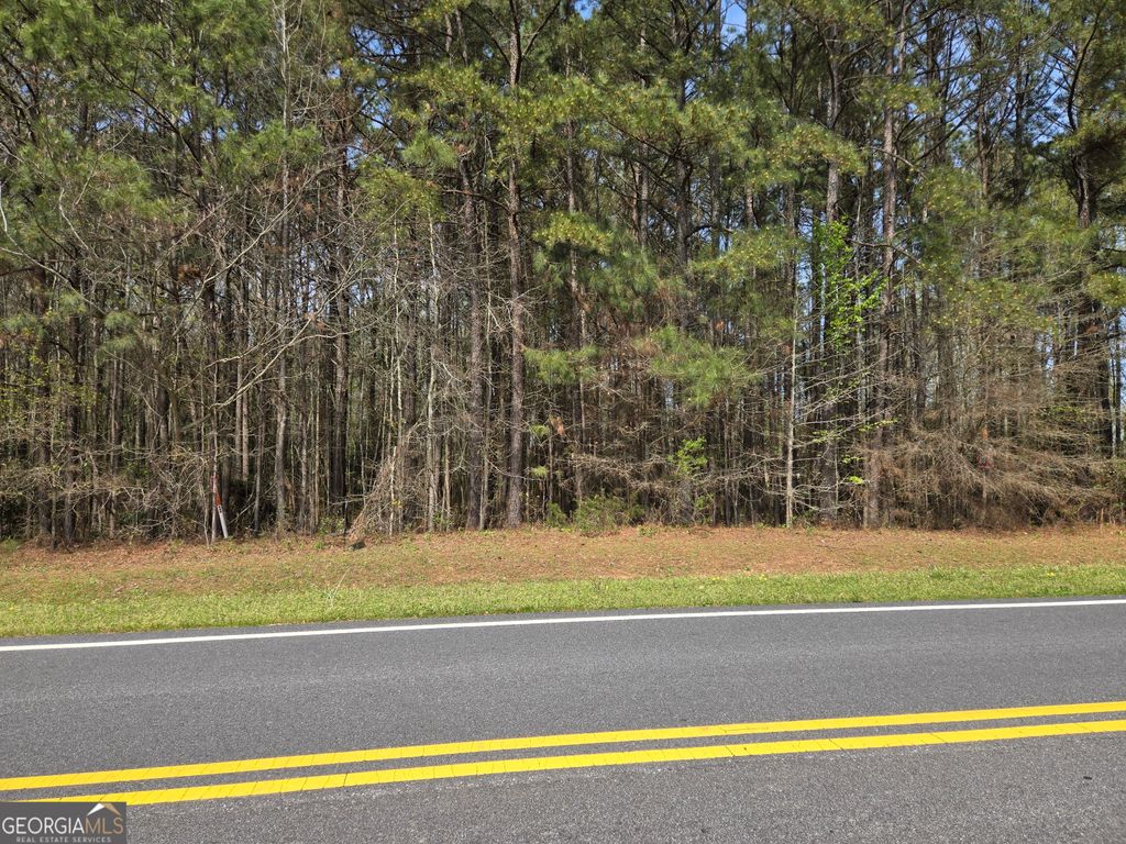 0 Bear Creek Boulevard 00, Hampton, GA 30228 — photo 5