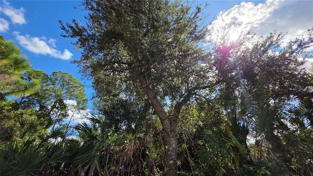 315 Ivanhoe Ave, La Belle, FL 33935