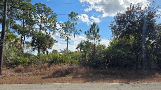 315 Ivanhoe Ave, La Belle, FL 33935