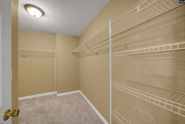 216 Faskin Lane, Lexington, SC 29072