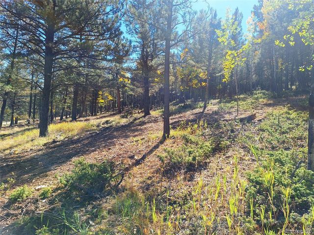 1504 County Road 43, Bailey, CO 80421