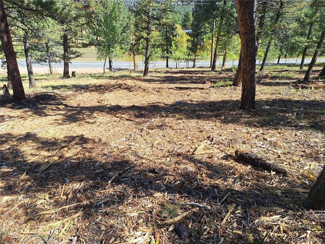 1504 County Road 43, Bailey, CO 80421