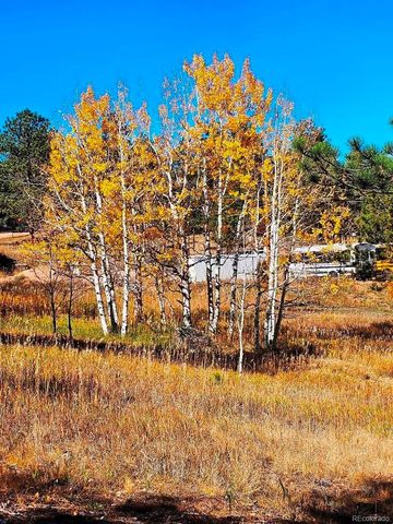 1504 County Road 43, Bailey, CO 80421