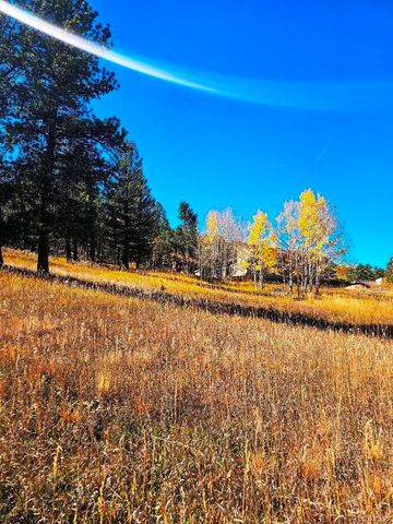 1504 County Road 43, Bailey, CO 80421