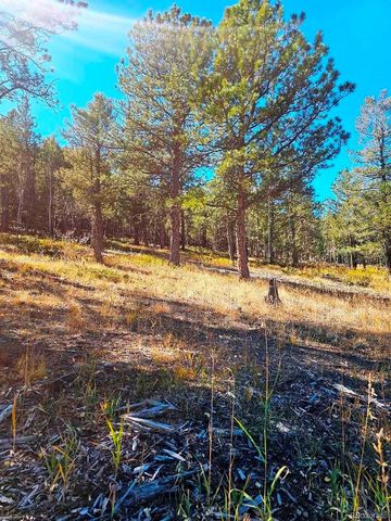 1504 County Road 43, Bailey, CO 80421