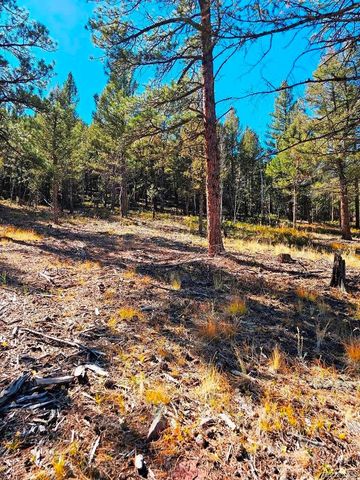 1504 County Road 43, Bailey, CO 80421