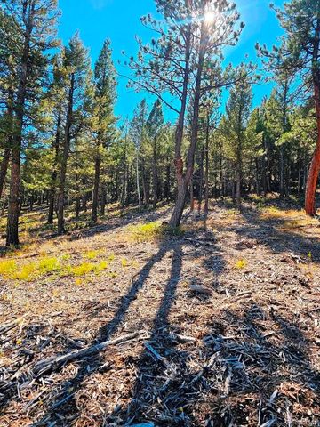 1504 County Road 43, Bailey, CO 80421