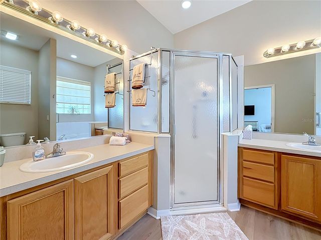 25206 ORMOND COURT, Leesburg, FL 34748