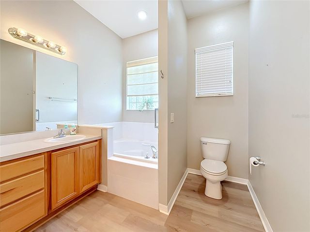 25206 ORMOND COURT, Leesburg, FL 34748