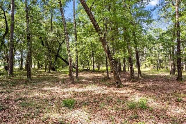 0 Allandale Plantation Road, Wadmalaw Island, SC 29487