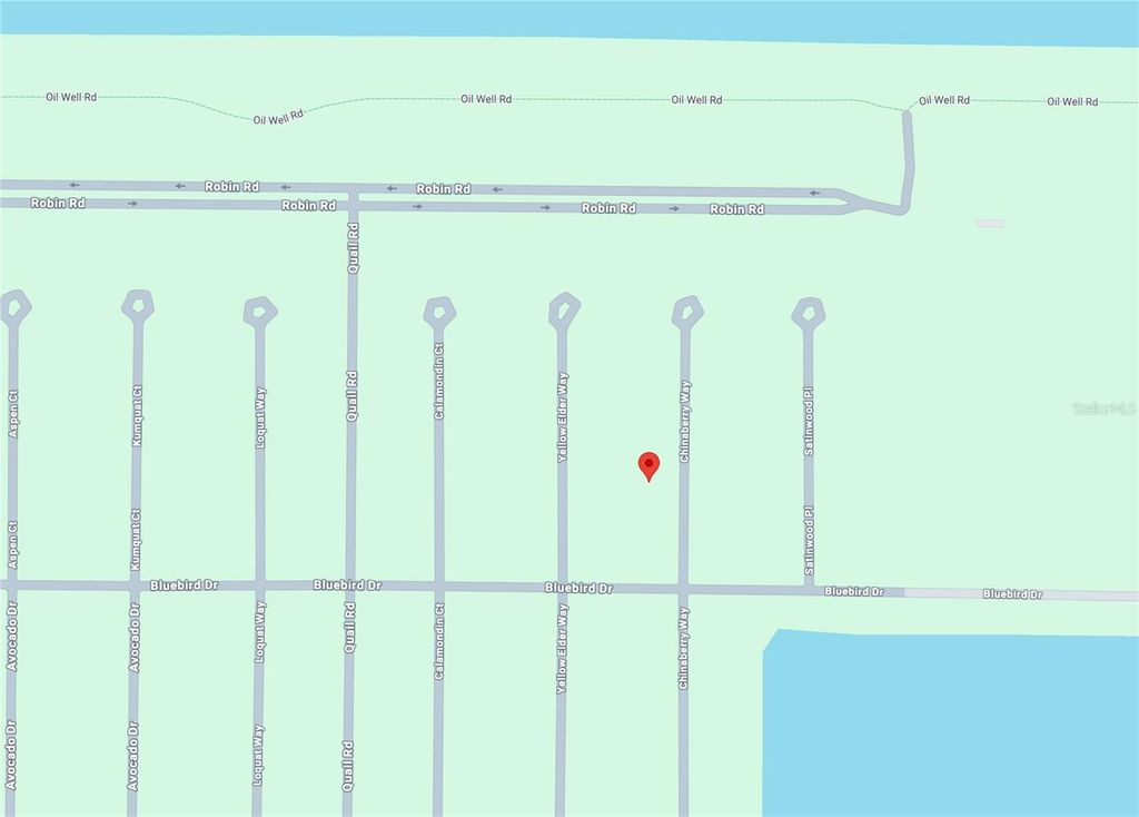23 CHINABERRY WAY, Placida, FL 33946