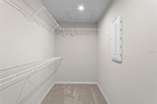 8519 PRIMROSE WILLOW PLACE, Odessa, FL 33556