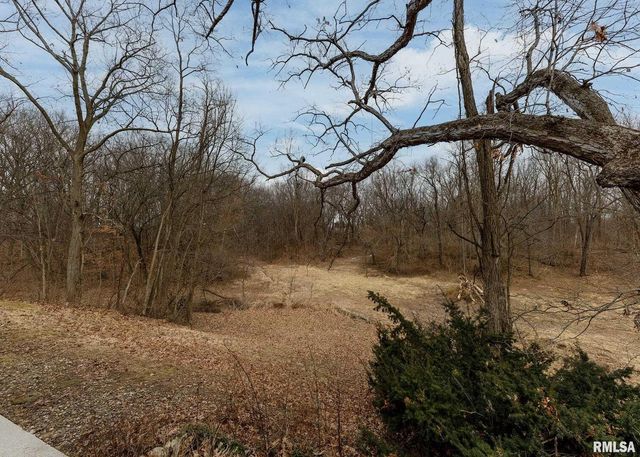 9721 234TH Street N, Port Byron, IL 61275