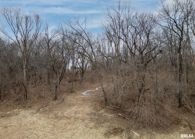 9721 234TH Street N, Port Byron, IL 61275