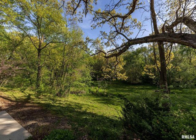 9721 234TH Street N, Port Byron, IL 61275