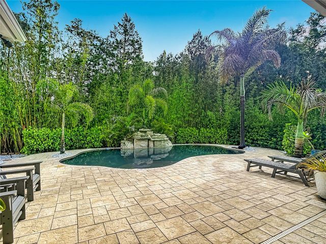 15401 AZRA DRIVE, Odessa, FL 33556