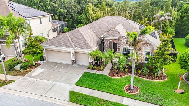 15401 AZRA DRIVE, Odessa, FL 33556