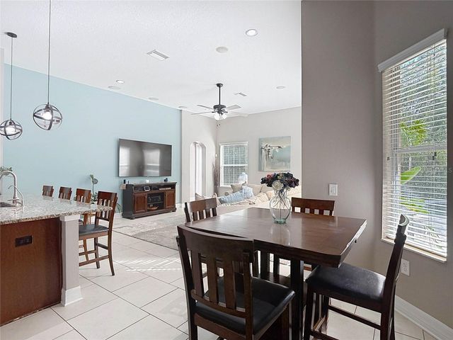 15401 AZRA DRIVE, Odessa, FL 33556