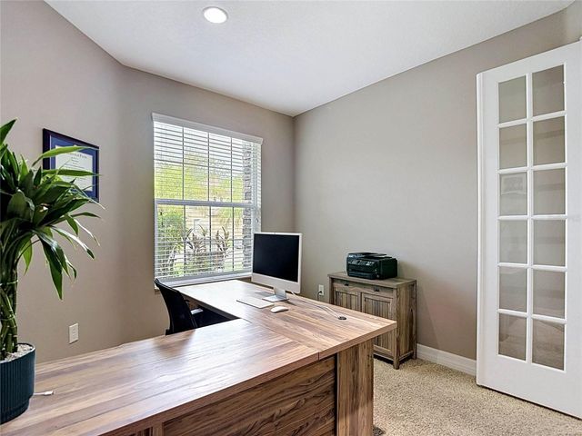 15401 AZRA DRIVE, Odessa, FL 33556