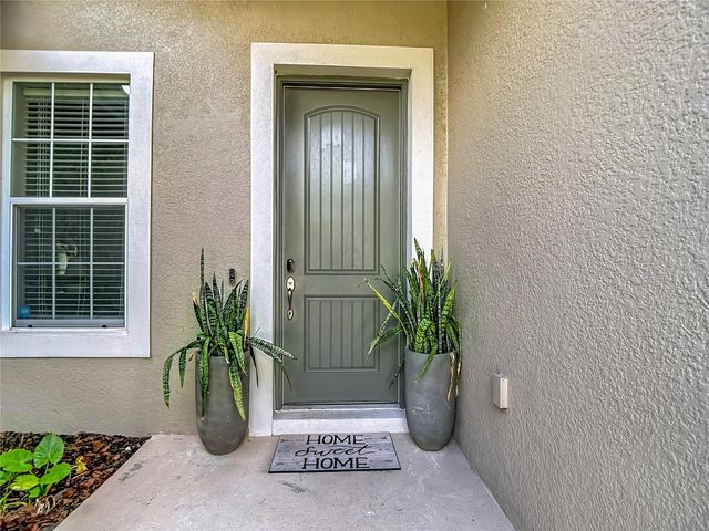 15401 AZRA DRIVE, Odessa, FL 33556