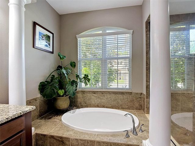 15401 AZRA DRIVE, Odessa, FL 33556