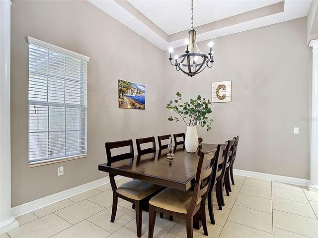 15401 AZRA DRIVE, Odessa, FL 33556