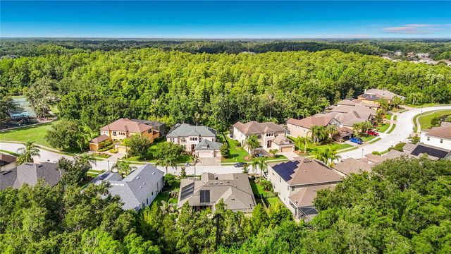 15401 AZRA DRIVE, Odessa, FL 33556