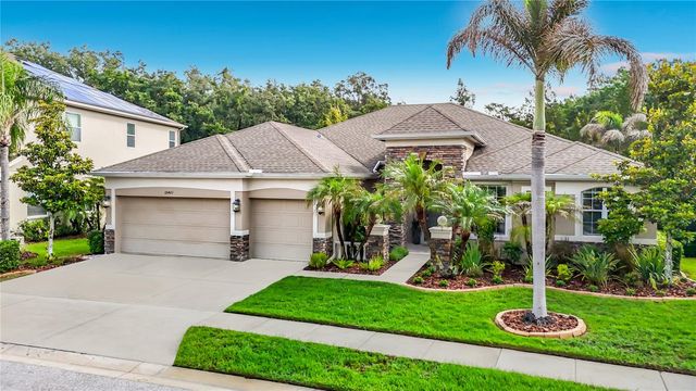 15401 AZRA DRIVE, Odessa, FL 33556