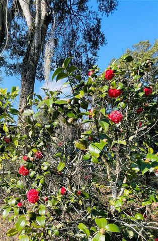 316 N STONE STREET, Deland, FL 32720