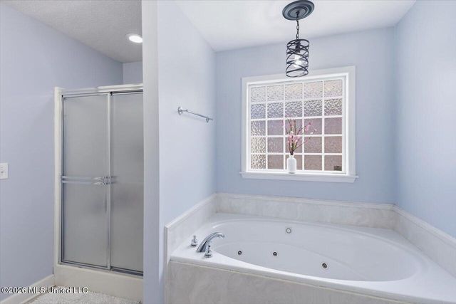 261 Cherry Bark Drive, Brandon, MS 39047