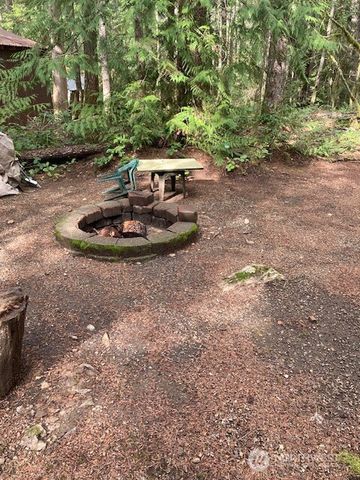 431 N Mt Seattle Way, Hoodsport, WA 98548